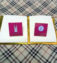 鬼滅の刃 隊士百景 コレクションピンズ 竈門炭治郎 「耳飾り」「ボタン」