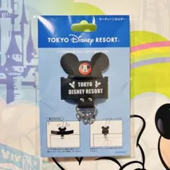 ディズニー⭐️キーチェーンホルダー イヤーハット ストラップ
