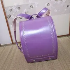 Item thumbnail for item 6d95972a-5842-40de-a918-4261cfc81f48