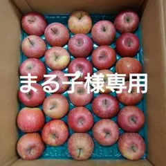 【まる子様専用】