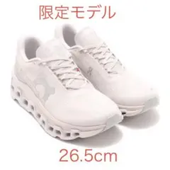 限定 On Cloudmonster 2 オン クラウドモンスター　26.5cm