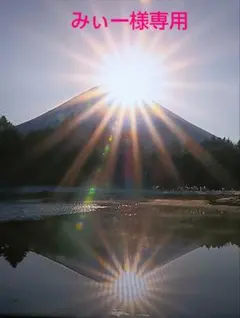 羊毛フェルト　トイプードル　みぃー様専用