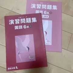 中学受験　6年生　上　演習問題集　国語　難関校対策