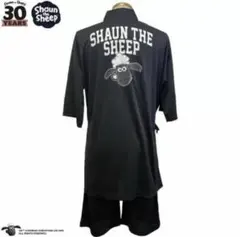 Item thumbnail for item c8bde46d-13c4-474d-82f7-424beb249cdd