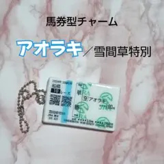 アオラキ 馬券 2026年最新】アオラキ 馬券の人気アイテム - メルカリ