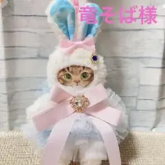 竜そば様 リクエスト 2点 まとめ商品