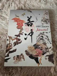 中国近代絵画巨匠 斉白石 作品集 図録 - メルカリ