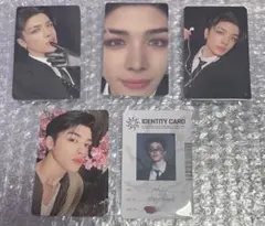 &TEAM MAKI マキ 月狼 雪明かり トレカ5枚セット