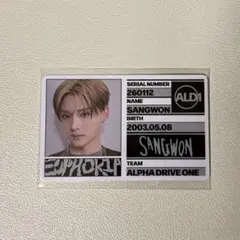 サンウォン　IDカード　封入　freak alarm ALD1 3