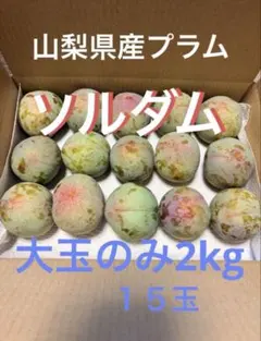 山梨県産すもも　ソルダム　2kgのサムネイル