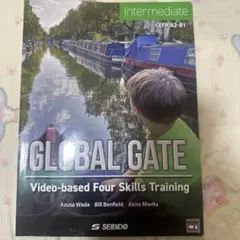 Global Gate Basic -Video-based Four Ski…