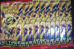 ポケモンカード ストームエメラルダ バラパック10パック 未開封