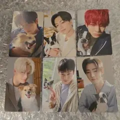 ENHYPEN アンケート トレカ　2025　6枚セット