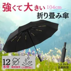 折り畳み傘 折りたたみ傘 晴雨兼用 12本骨 UVカット 自動開閉 大きい 撥水