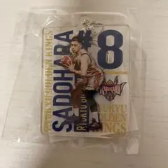 琉球ゴールデンキングス 佐土原選手 #8