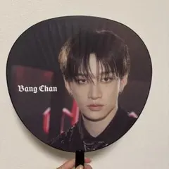 straykids バンチャン うちわ2枚、うちわカバー、ペンラカバー スキズ バンチャン SKZOO ウルフチャン ペンライトカバー｜Yahoo