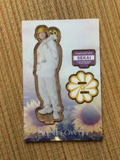 FANTASTICS SUNFLOWER 世界 アクスタ