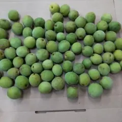 小さい青梅1キロ箱含め 自然栽培のサムネイル
