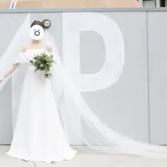 【定価30万】AULANOVA ウェディングドレス オフショルダー　Aライン