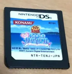 Nintendo DS テレビゲーム