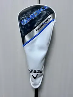 Item thumbnail for item 7c275e95-6429-48d2-a0d1-b8bb817cff22