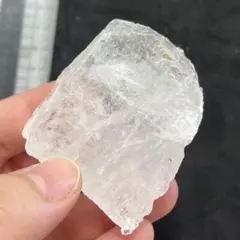 珊瑚の死骸 海水鑑賞用 ライブロック デスロック 置物3 - メルカリ