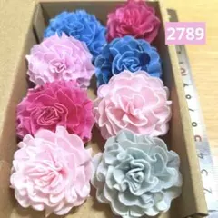 솔라 플라워 2789