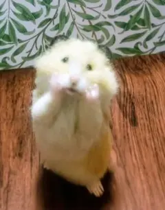 羊毛フェルト　ハムスター♡置物