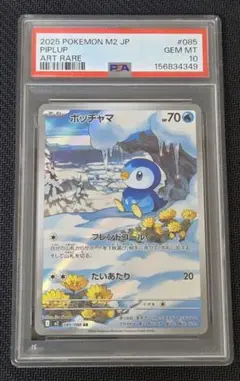 2026年最新】ポッチャマ psa10の人気アイテム - メルカリ