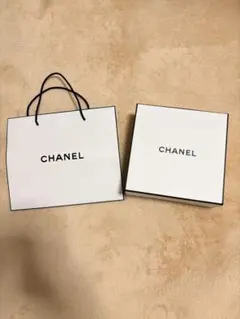 ⭐︎送料込み CHANEL ショップ袋とギフトボックスセット