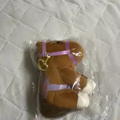 見上愛のアイドルホースA賞