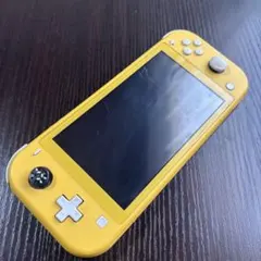 ジャンク】Nintendo Switch Lite 本体 - メルカリ