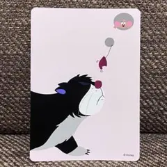 プルプルプルート様 リクエスト 2点 まとめ商品