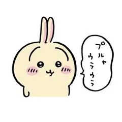 専用