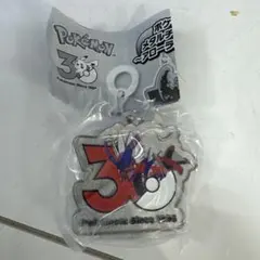 ポケモン メタルチャーム アローラ コライドン
