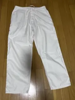 blurhms super light moleskin イージーワークパンツのサムネイル