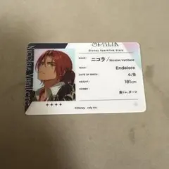 スパークリンク・スターズ ニコラ