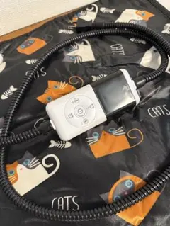 Item thumbnail for item e637281e-eb3e-49f9-9b3b-6d567ae15e11