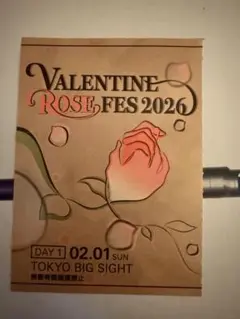 サーチケ 赤ブー 2/1