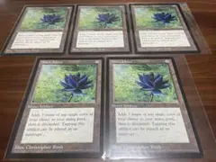 【5枚セット‼︎】BlackLotus/ブラックロータス/大判/MTG