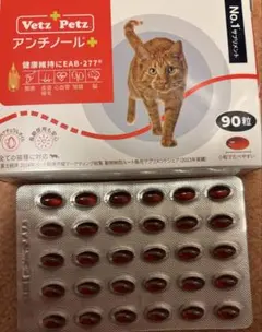 Item thumbnail for item 1e59164b-fc76-4c57-82e8-ebcbfdee9717