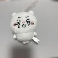 Item thumbnail for item 0167cdc8-a122-4727-9a68-dc990d90f8e7