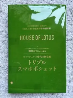 おおばやし様 リクエスト 2点 まとめ商品