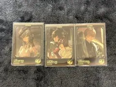 【⚠️傷あり品】パニグレ カード