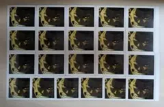 呪術廻戦0　東堂葵 No.33　ぱしゃこれ