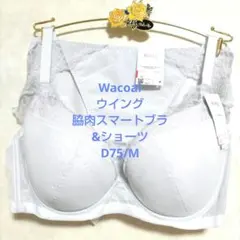 ブラショーツセット