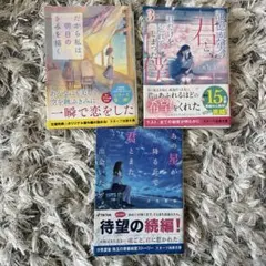 恋愛小説 3冊セット