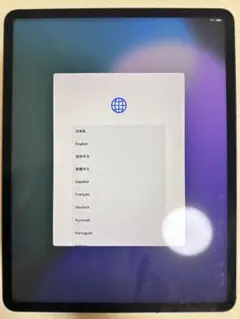 IPad pro 12.9 第5世代 256GB 純正キーボードケース付き