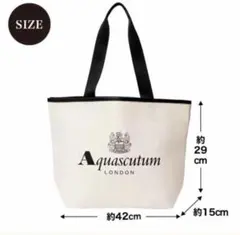 オトナミューズ 2025年 3月号付録 アクアスキュータム ビッグトート