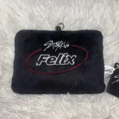 Stray Kids フィリックス　パスケースのサムネイル